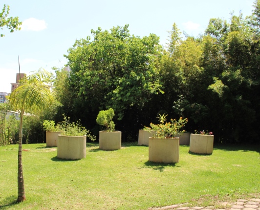 Horta do parque que é cultivada pelos jovens participantes do projeto. Foto: Franciele Xavier (ACS/SEE)